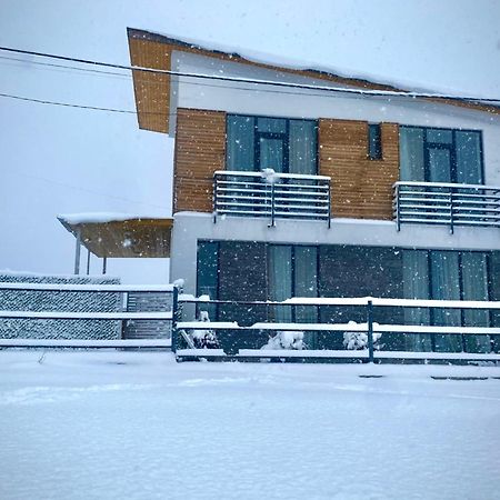 Cottage Marta Sadgeri Bordzjomi Buitenkant foto